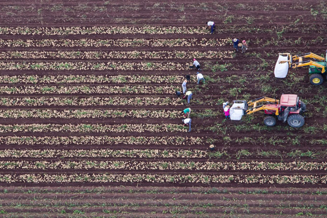 Concurso fotográfico: “Medio Rural y Pesquero en Andalucía 2020”